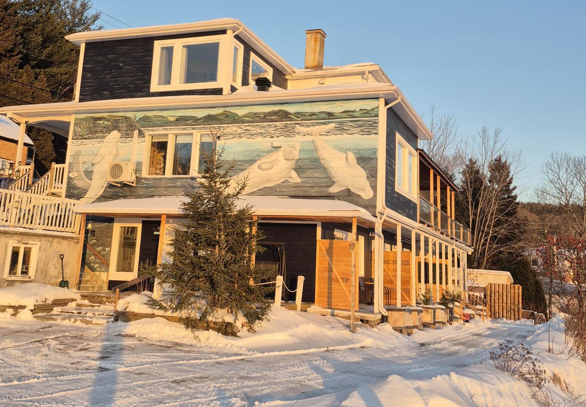 Suite 2 Fleche Du Fjord Vue Saguenay Mont Valin Saint-Fulgence 외부 사진
